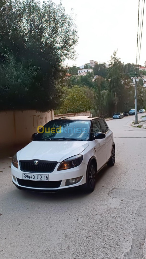 Skoda Fabia 2012 Monte carlo