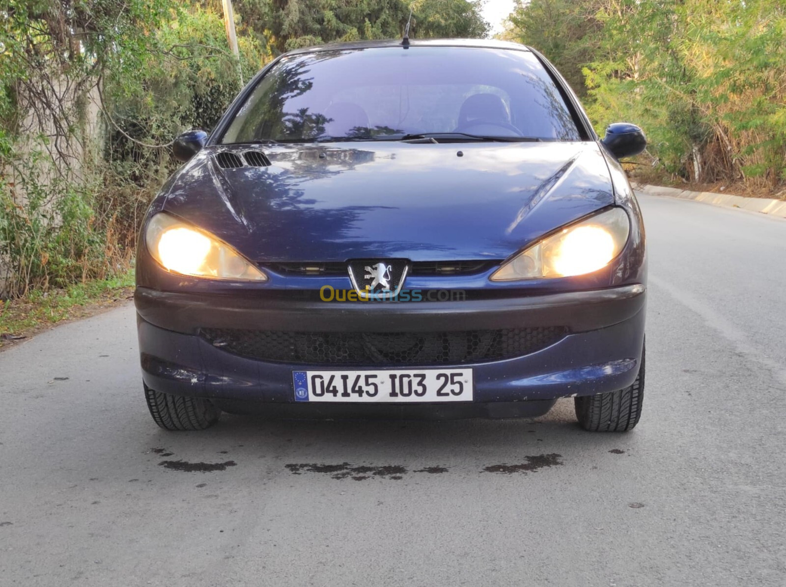 Peugeot 206 2003 206