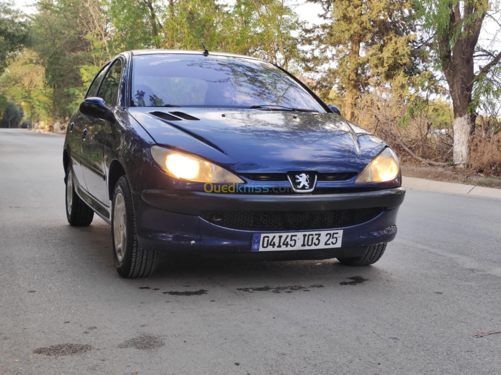 Peugeot 206 2003 206