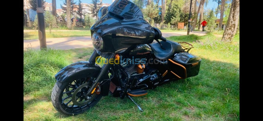 Street glien Harley davidson 2019