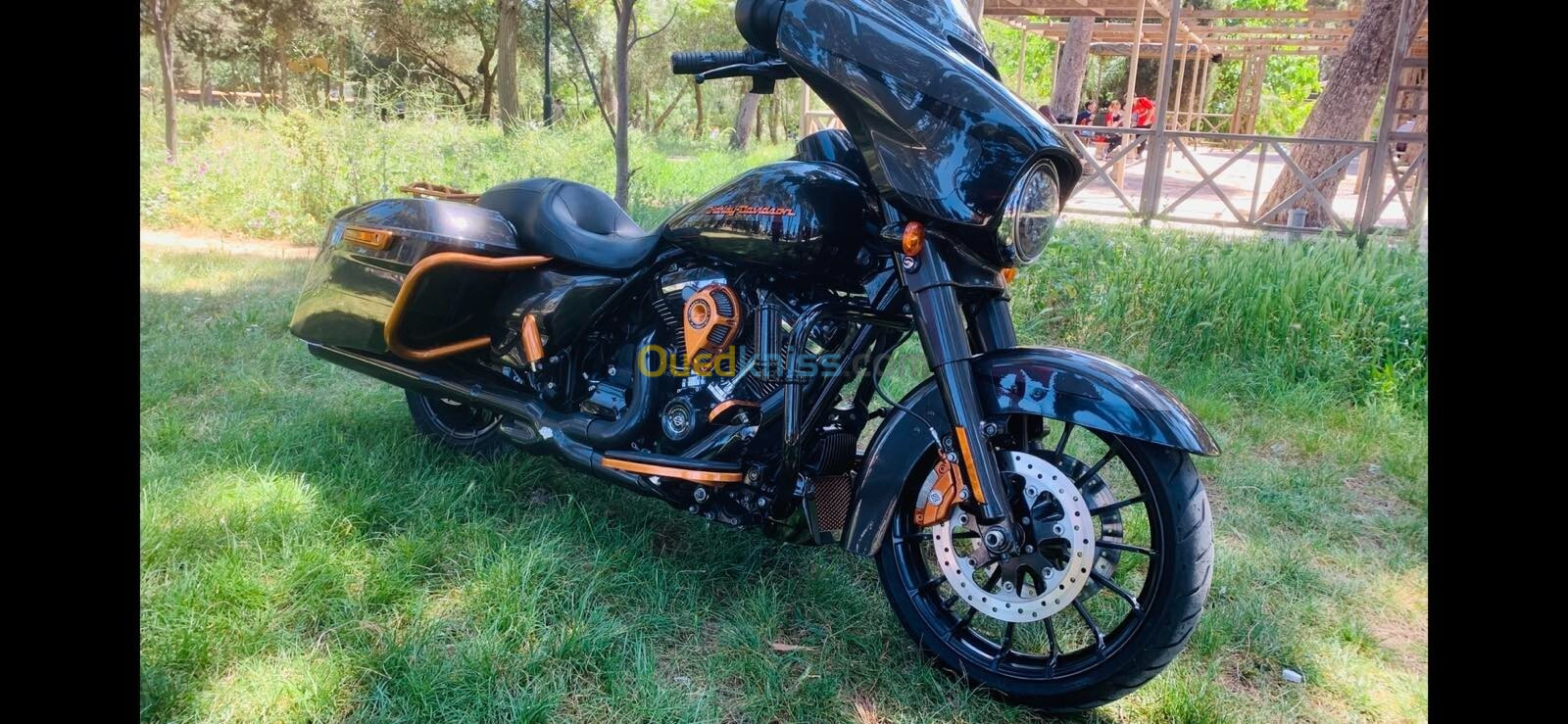 Street glien Harley davidson 2019