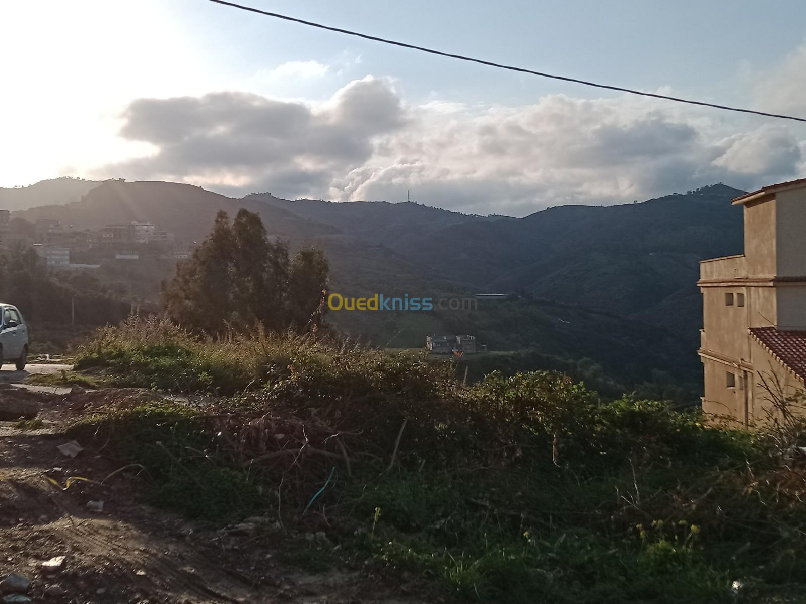 Vente Terrain Skikda Skikda