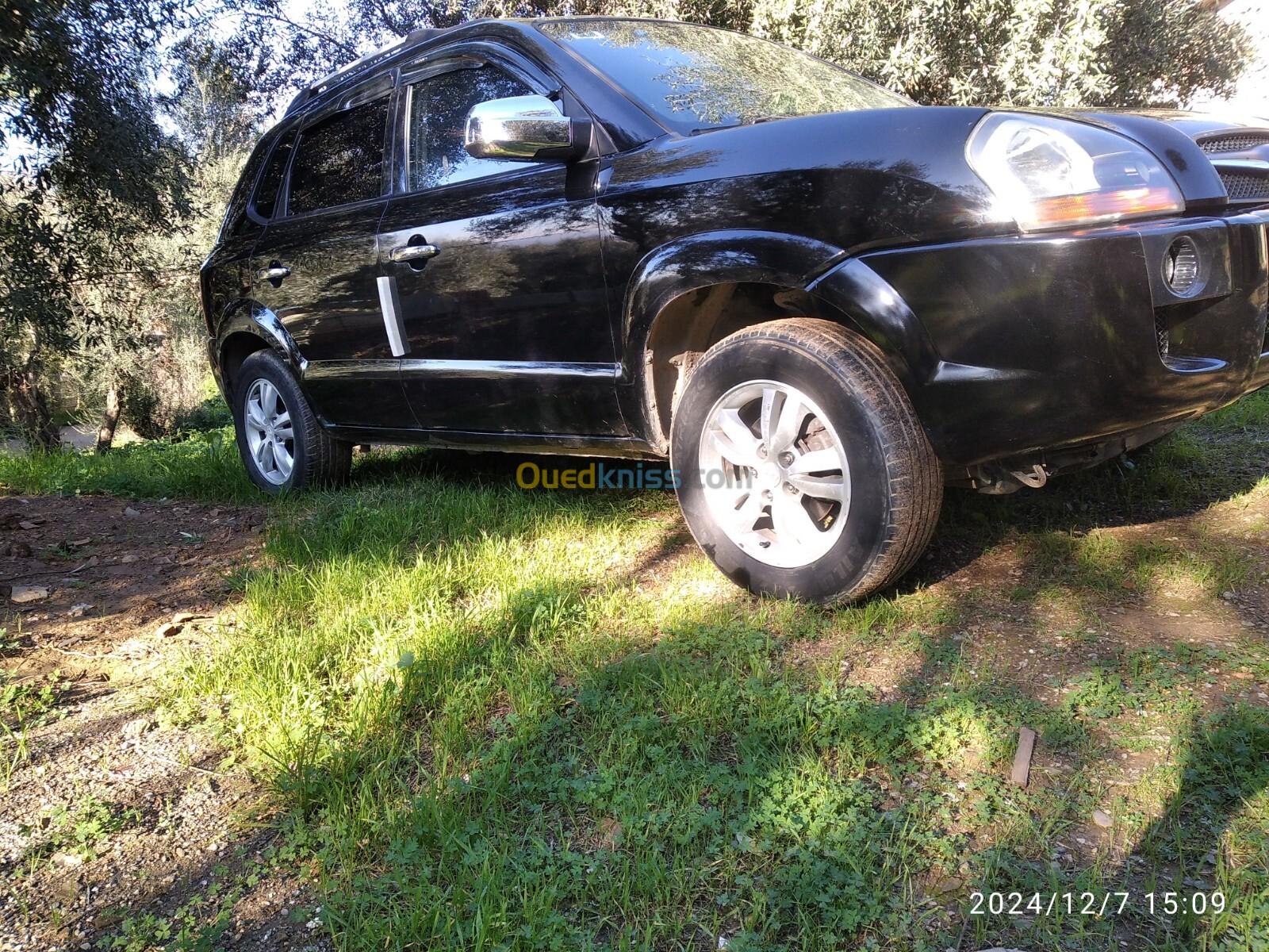 Hyundai Tucson 2010 Tucson