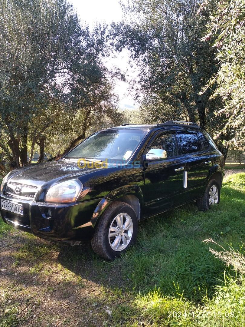 Hyundai Tucson 2010 Tucson