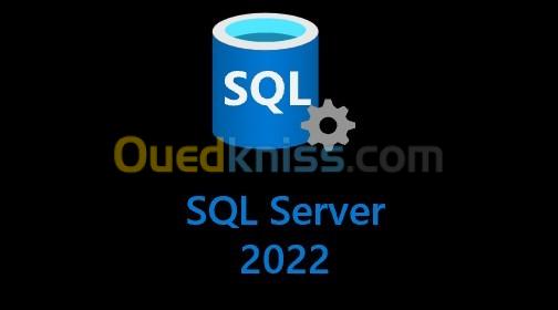 Windows SQL Server 2022 Standard CAL