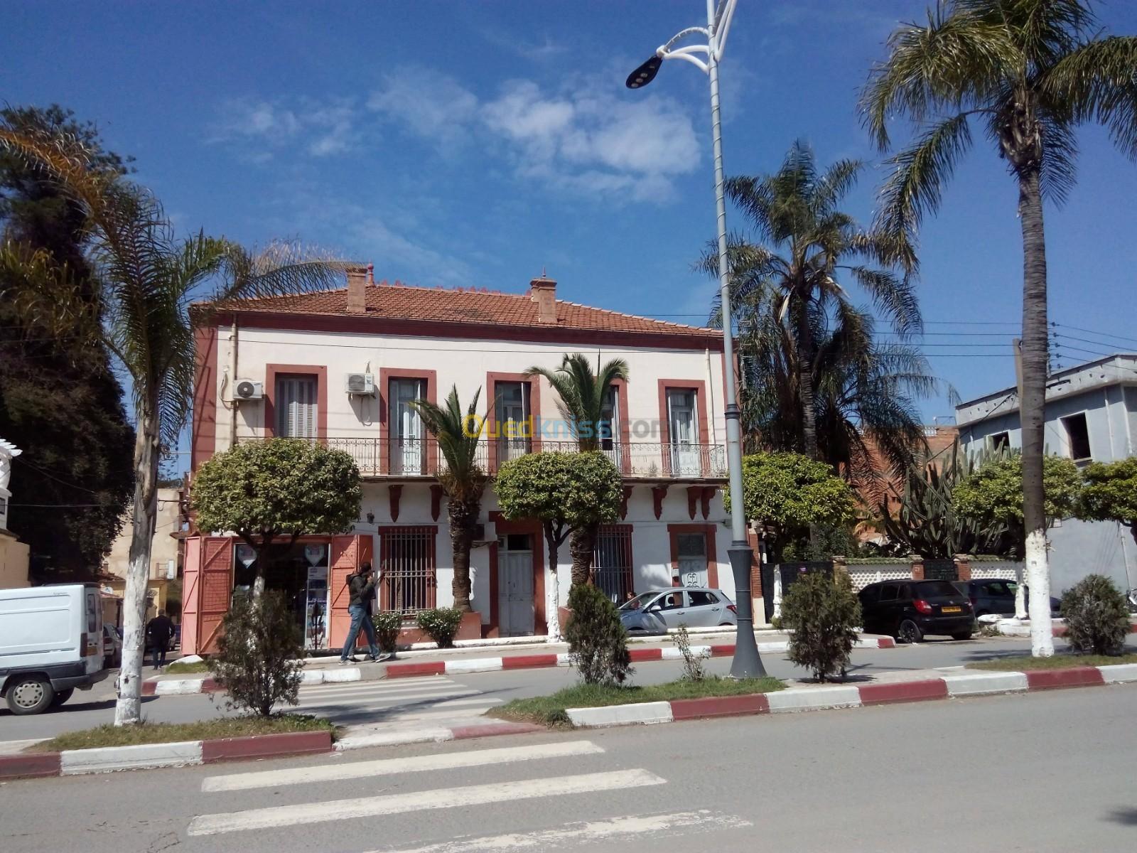 Vente Niveau De Villa F6 Blida Blida