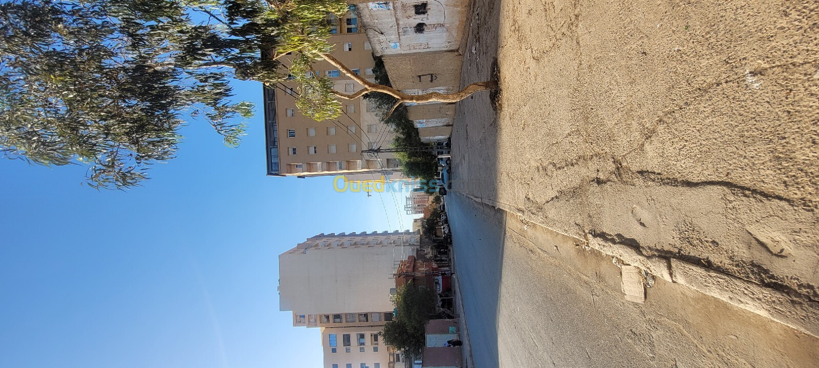 Vente Terrain Oran Bir el djir