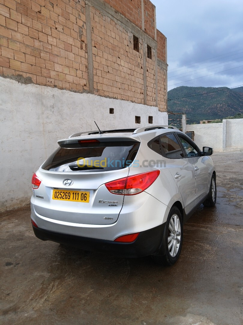 Hyundai Tucson 2011 Tucson