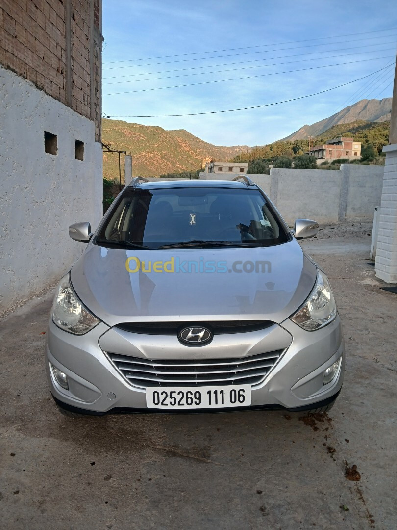 Hyundai Tucson 2011 Tucson