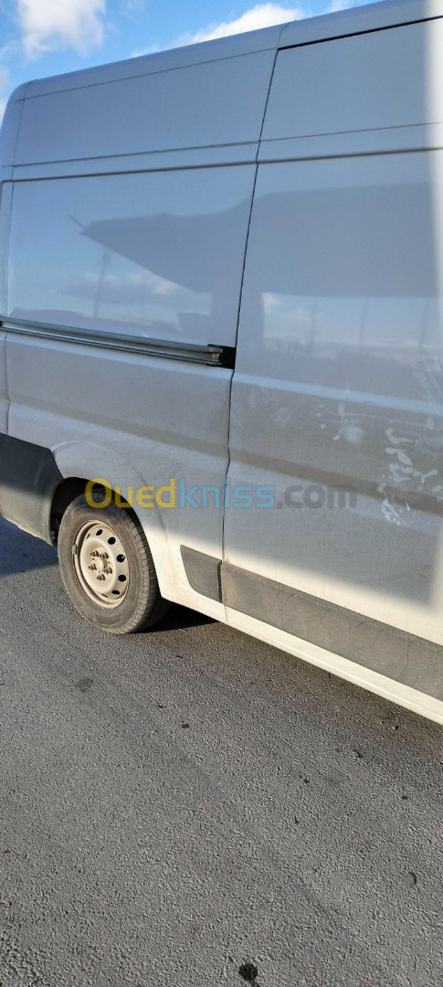 Fiat Professional Ducato 2023 