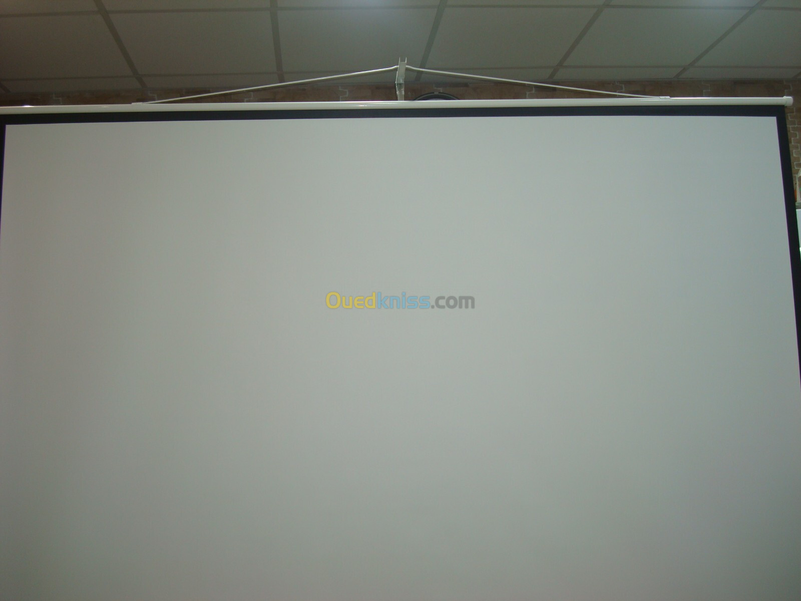 Ecran de projection sur pied 2,40m x 2,40m pour  Data show