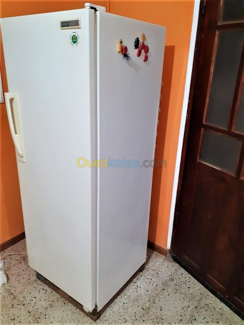 FRIGO REFRIGERATEUR E N I E M 350 L