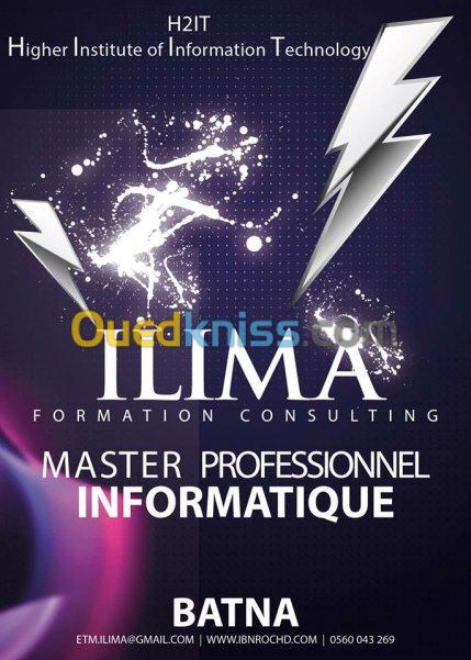 Diplôme de master professionnel