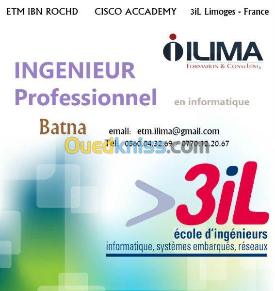 Displôme d'ingénieur professionnel