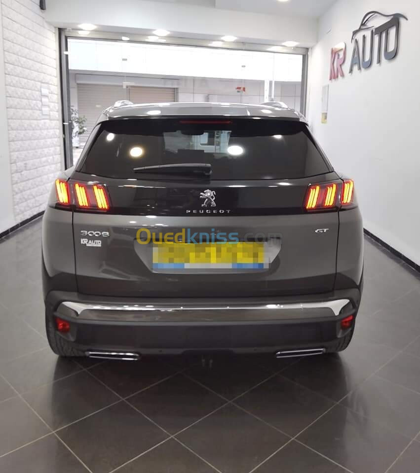 Peugeot 3008 2022 3008