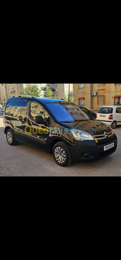 Citroen Berlingo 2009 