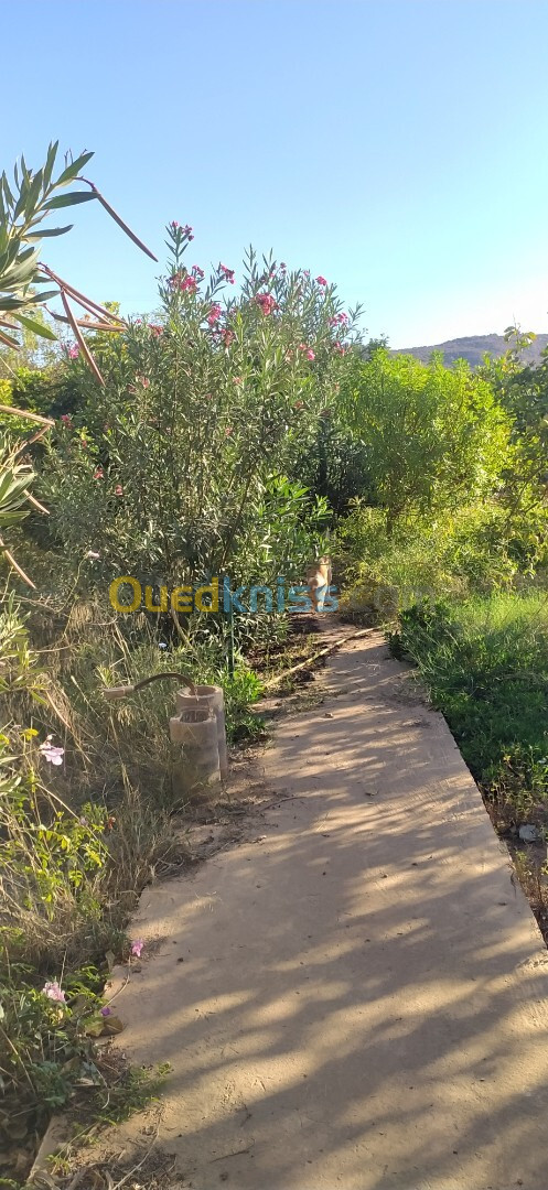 Vente Villa Tlemcen Ghazaouet