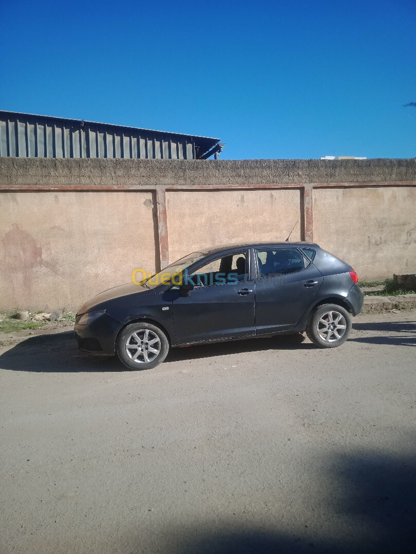 Seat Ibiza 2010 Ibiza