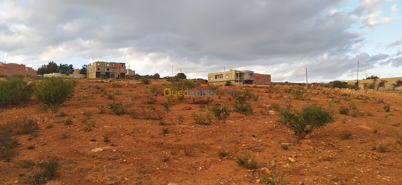 Vente Terrain Mostaganem Sayada