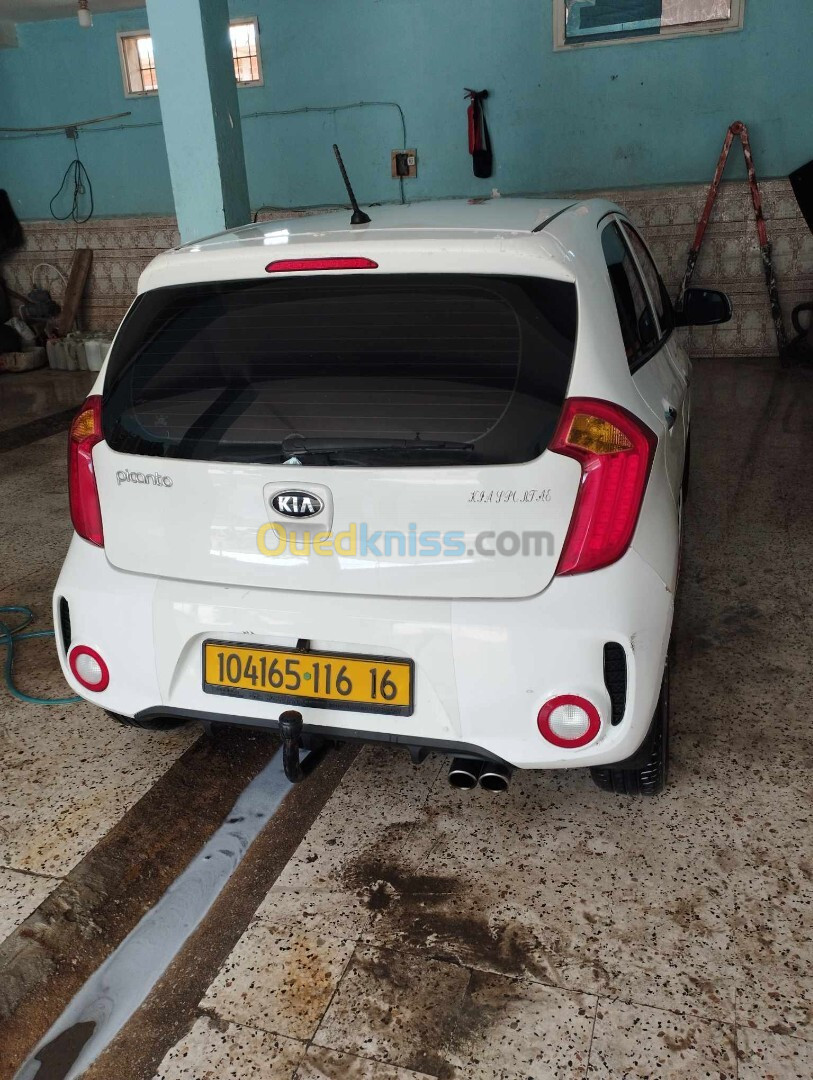 Kia Picanto 2016 