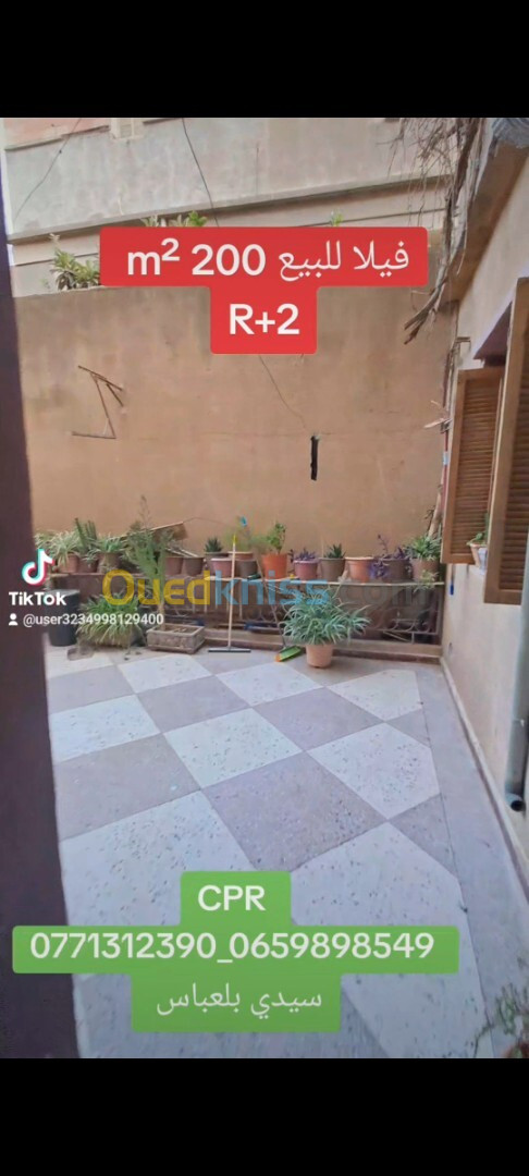 Vente Villa Sidi Bel Abbès Sidi bel abbes