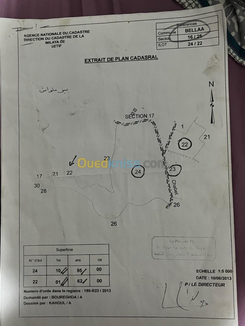 Vente Terrain Sétif Belaa