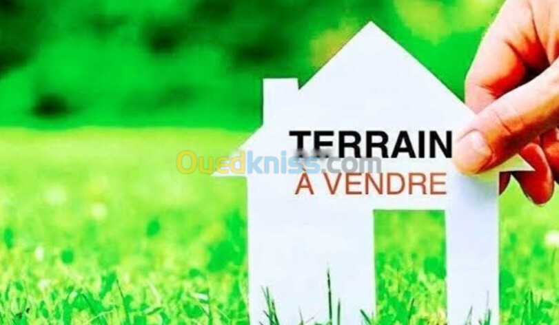 Vente Terrain Alger Cheraga