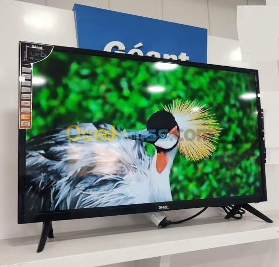 Promotion télévision Géant 32 pouce simple Qled 