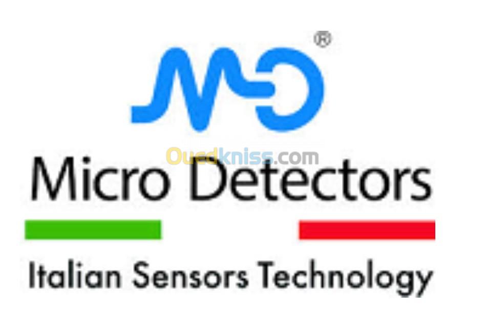 Micro Detectors 