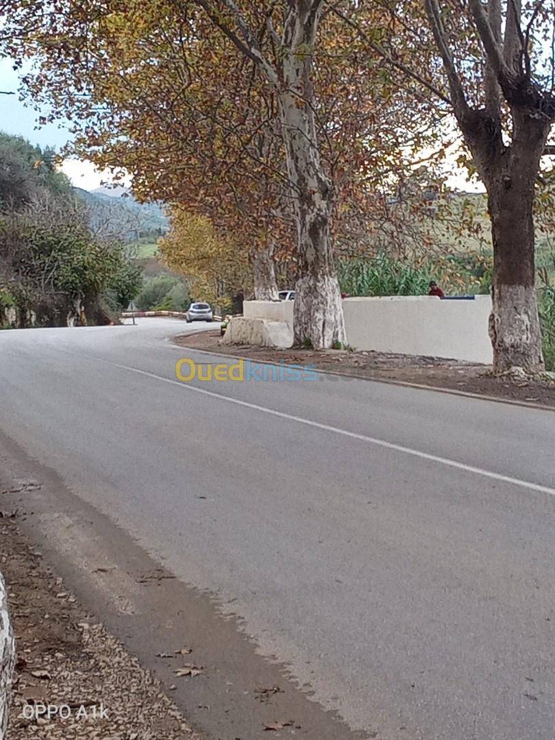 Vente Terrain Tipaza Nador