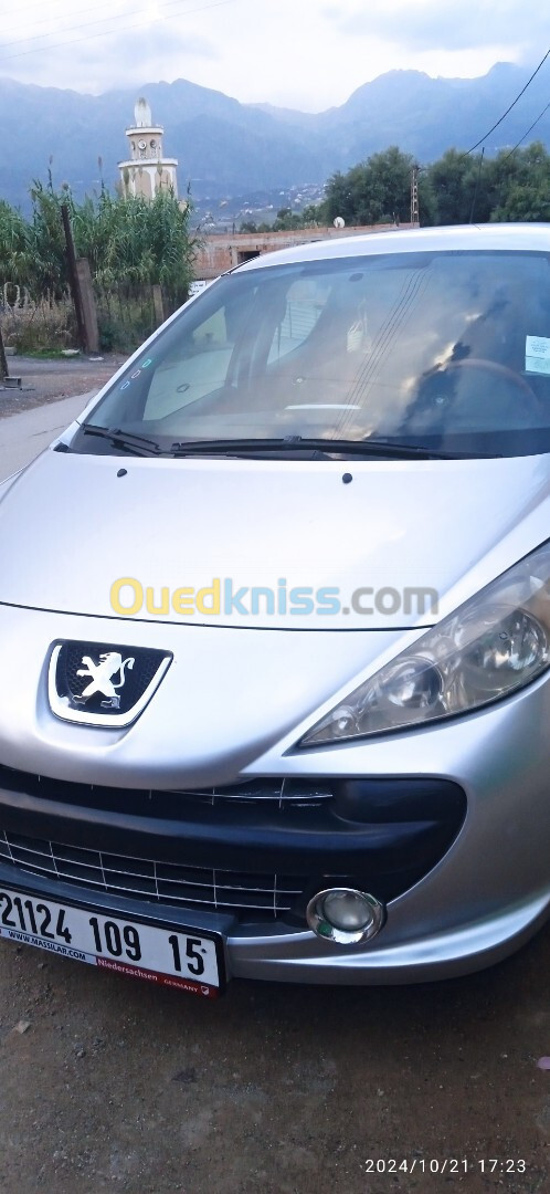 Peugeot 207 2009 207