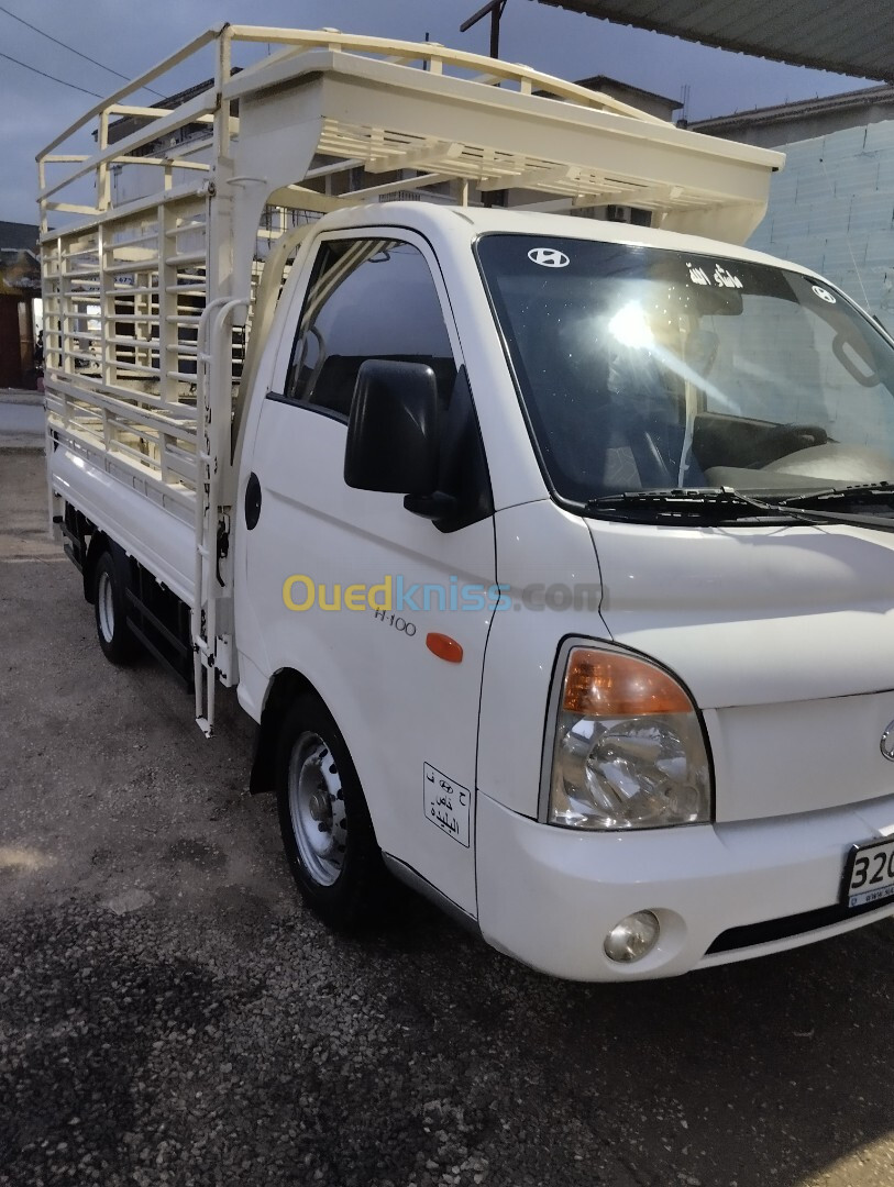 H100 Hyundai 2010