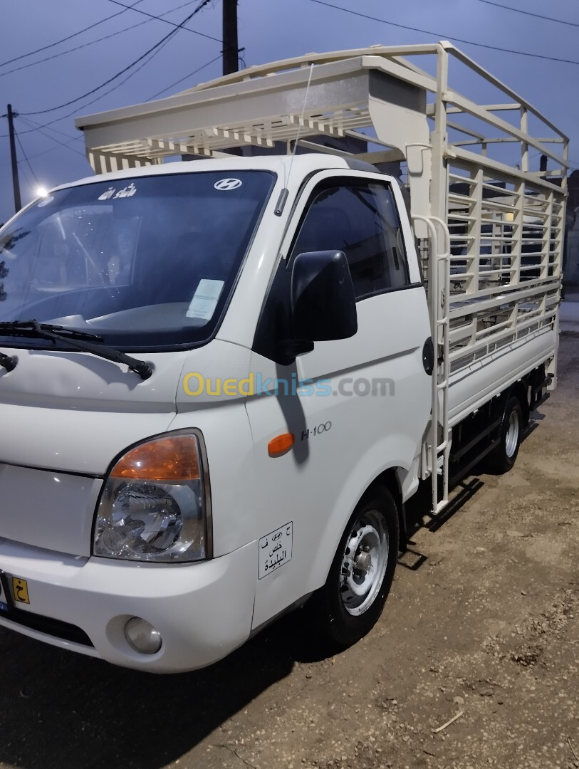 Hyundai H100 2010