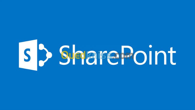 Microsoft SharePoint Server 2010 /2013