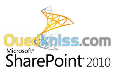 Microsoft SharePoint Server 2010 /2013