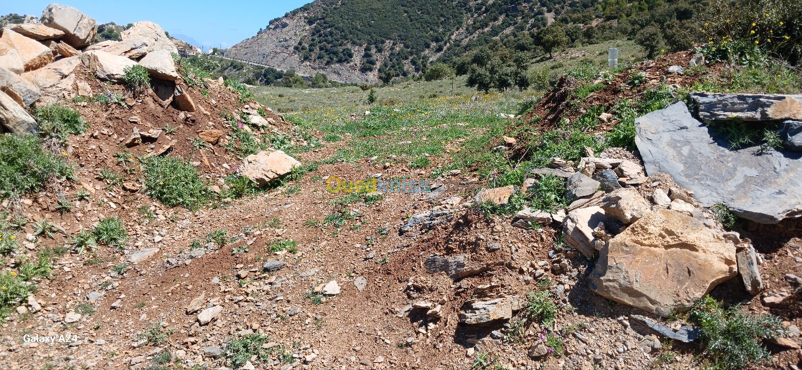 Vente Terrain Sétif Harbil