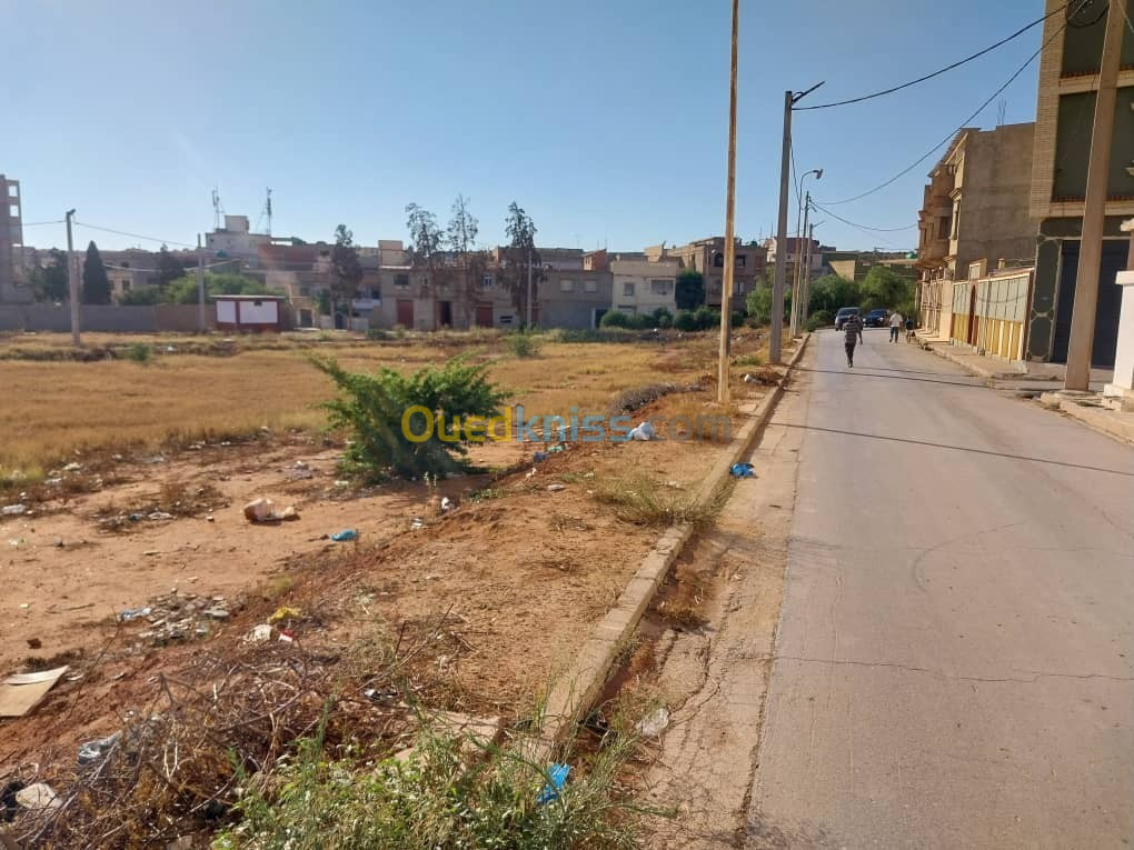 Vente Terrain Mostaganem Mostaganem