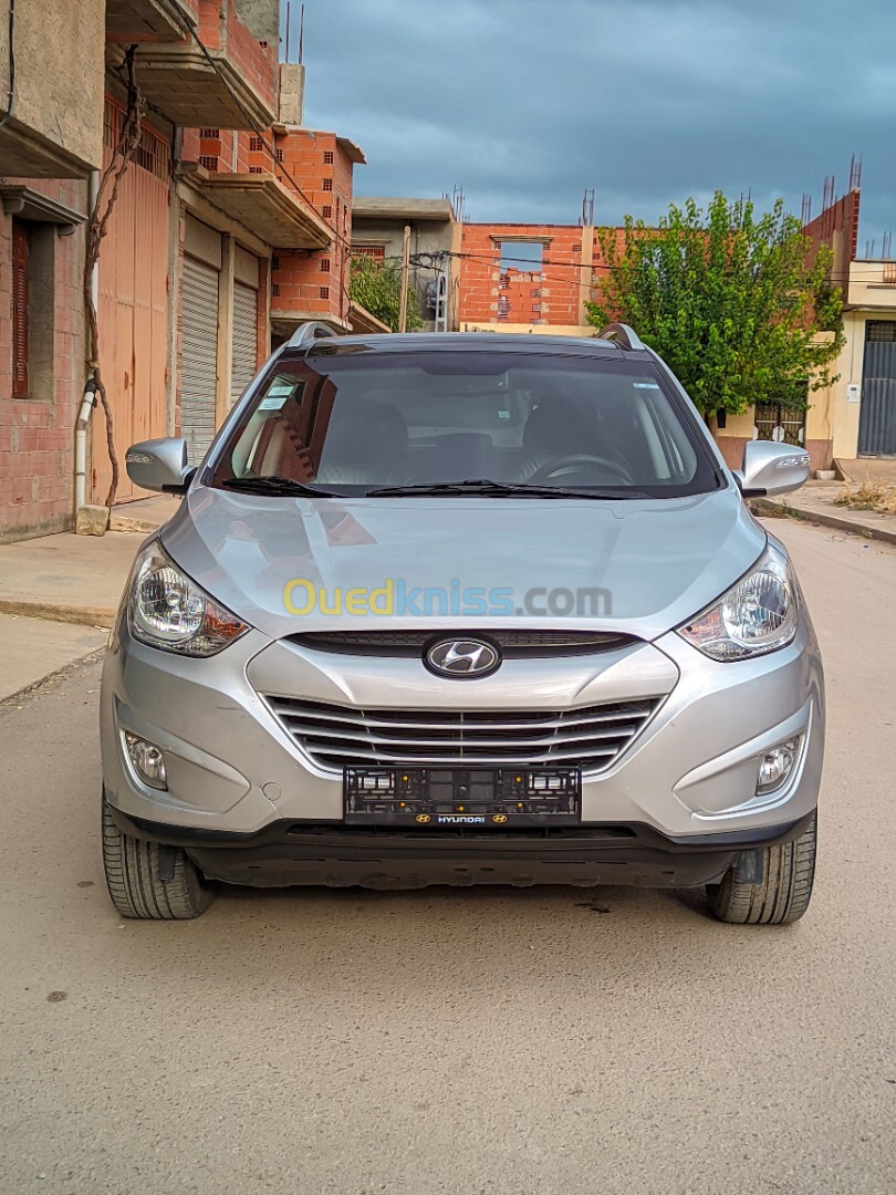 Hyundai Tucson 2011 Tucson