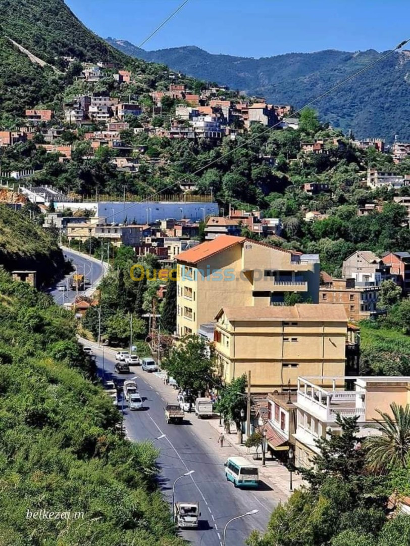 Vente Terrain Jijel Ziama mansouriah