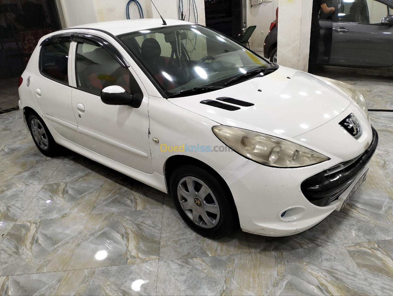 Peugeot 206 Plus 2011 Base clime