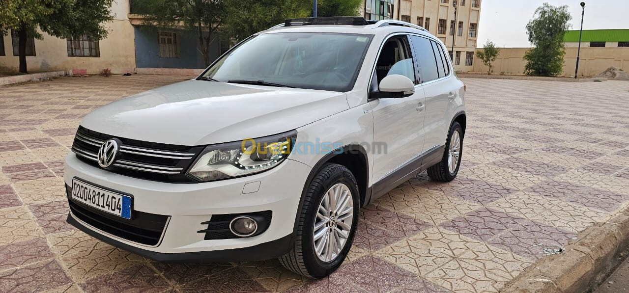 Volkswagen Tiguan 2014 Cup