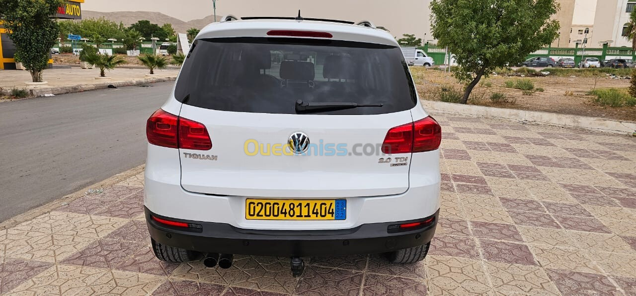 Volkswagen Tiguan 2014 Cup