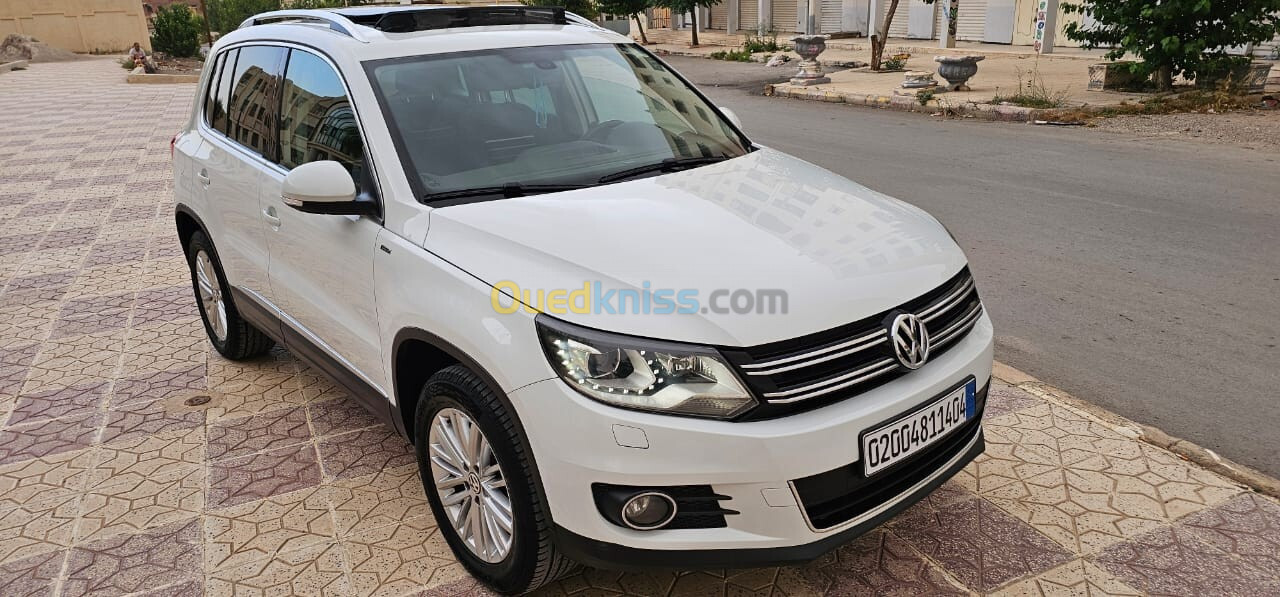 Volkswagen Tiguan 2014 Cup