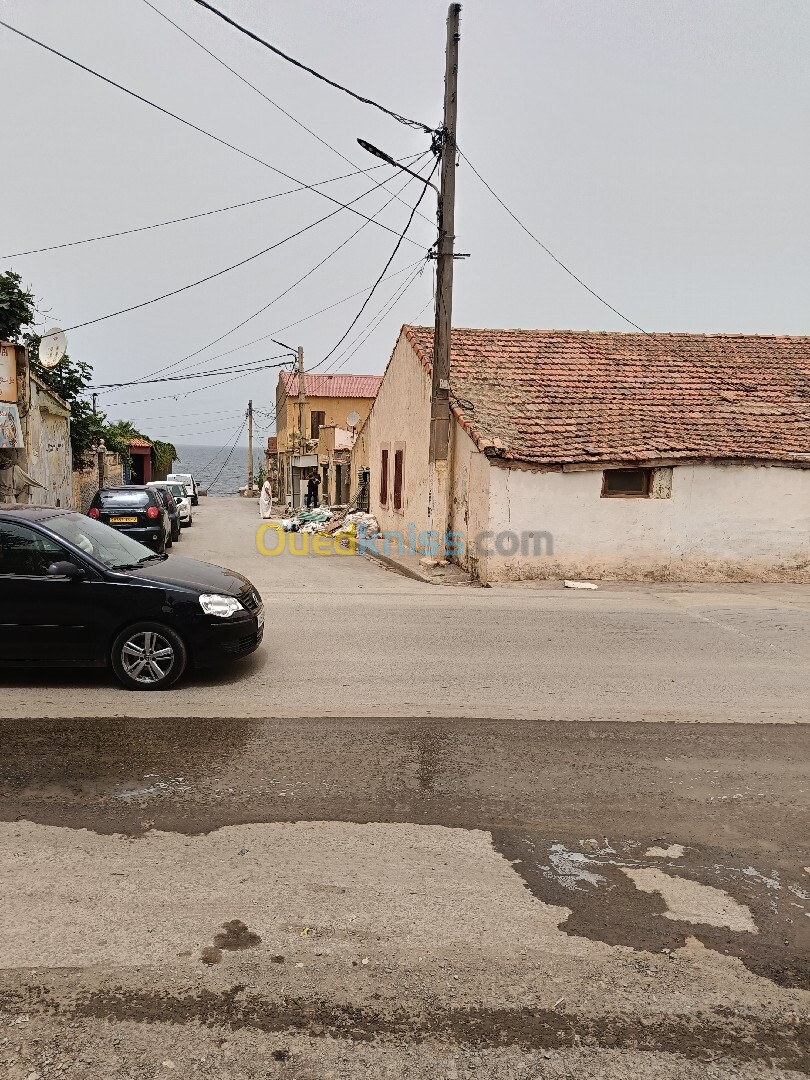 Vente Terrain Tipaza Douaouda