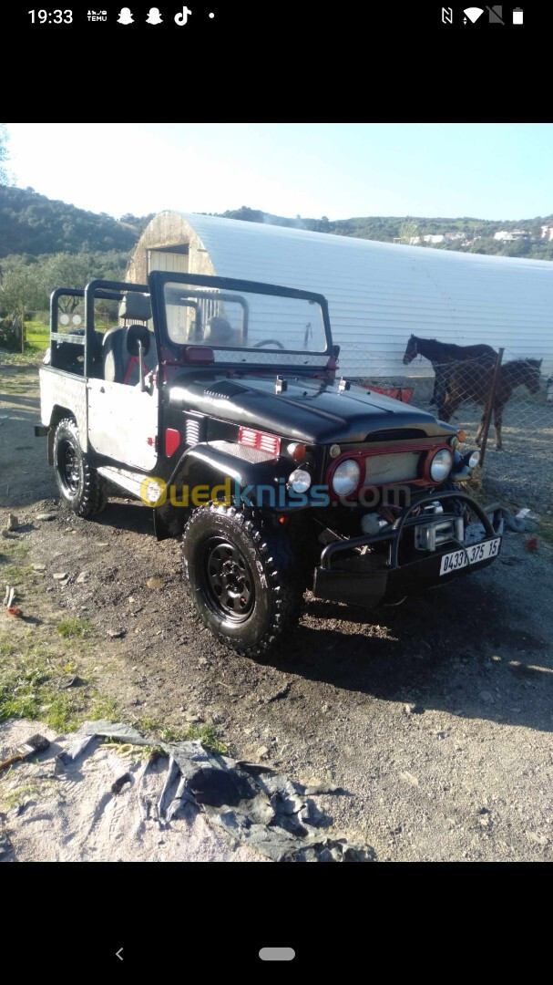 Toyota Land Cruiser 1975 Court