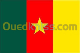 VISA CAMEROUN فيزا الكامرون