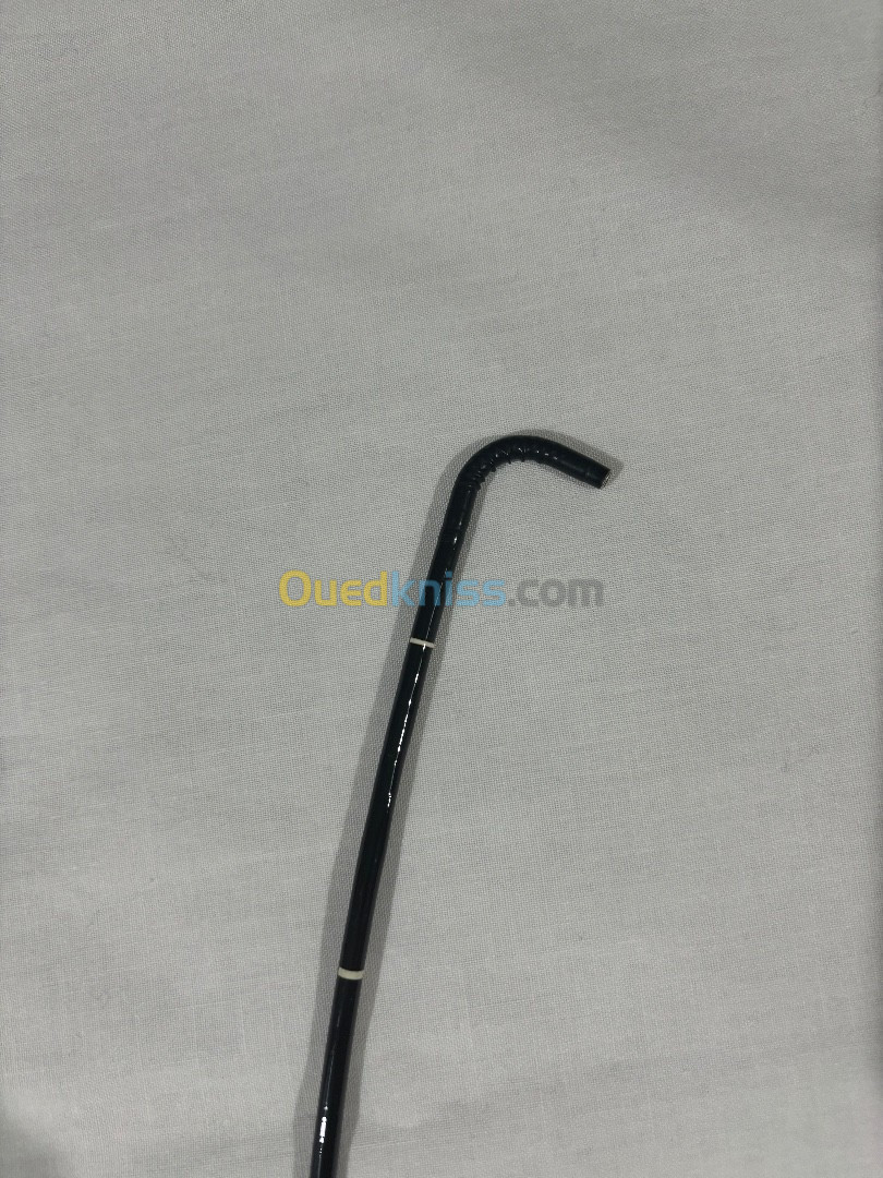 Endoscope Olympus ENF-GP