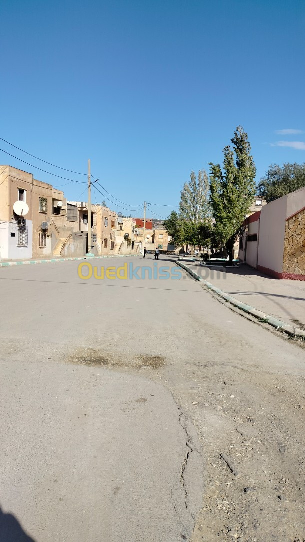 Vente Terrain Tiaret Tiaret