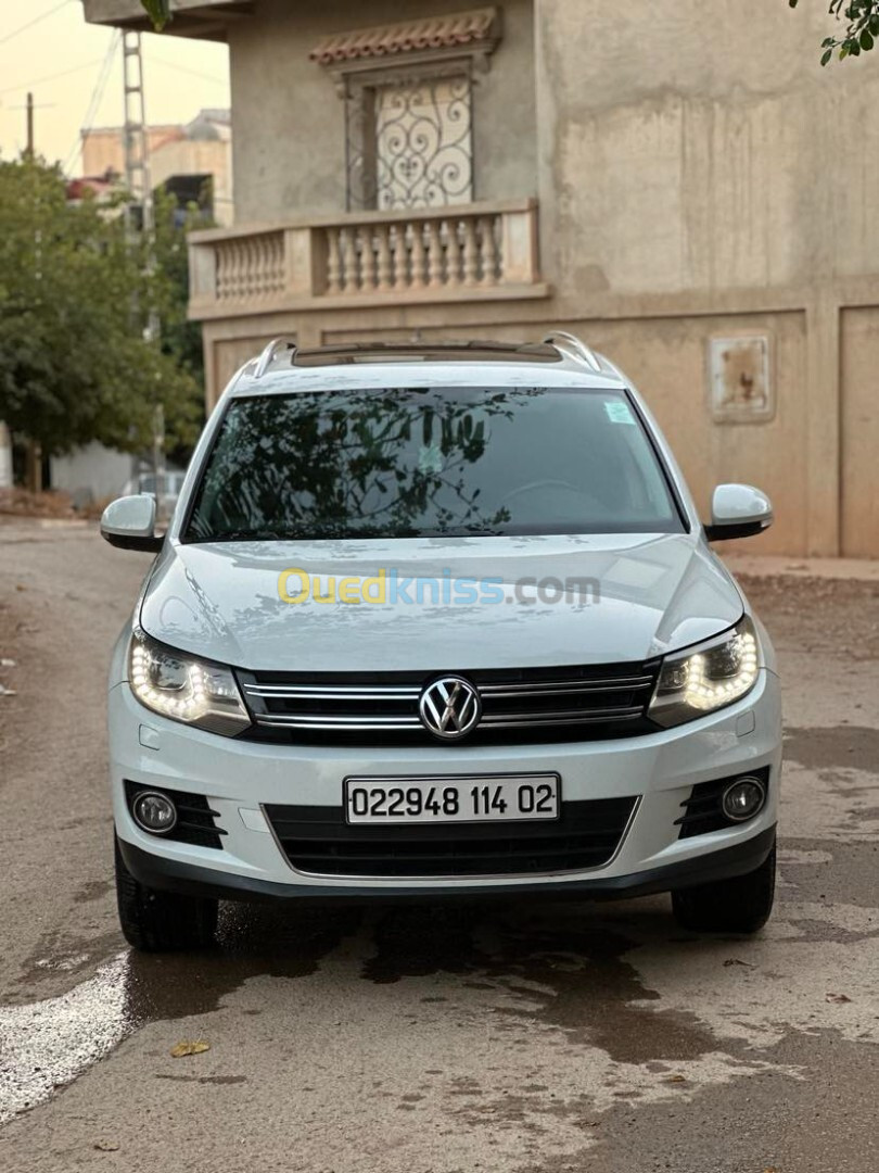 Volkswagen Tiguan 2014 Cup