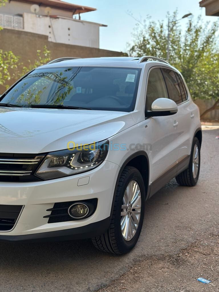 Volkswagen Tiguan 2014 Cup